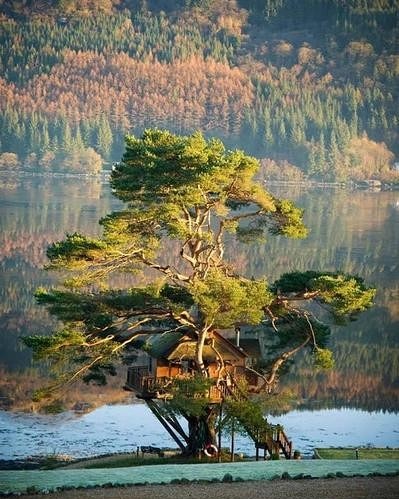 IMG_20170630_093700_344