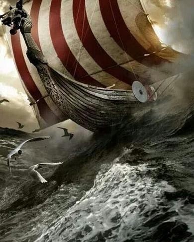 IMG_20170703_111145_337