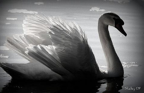 IMG_20170720_085250_950