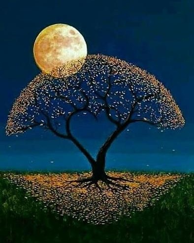 IMG_20170721_144654_676