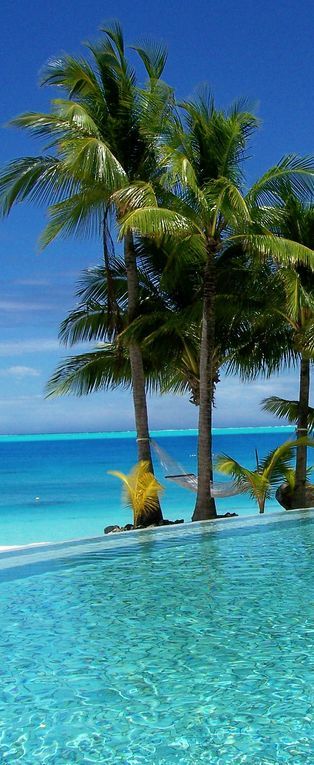 419fad947d79bab7e813d6cc49bc849b