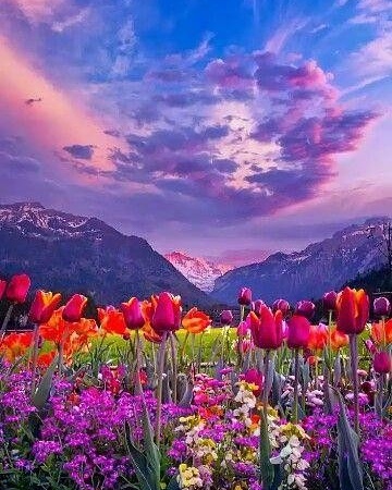 IMG_20170802_082139_375