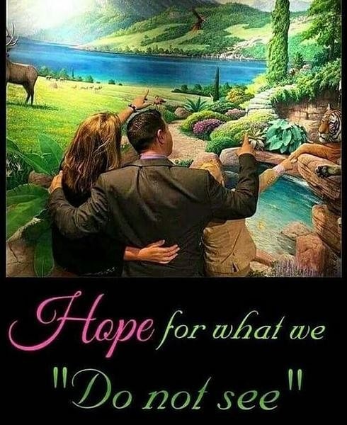 IMG_20170804_095609_352