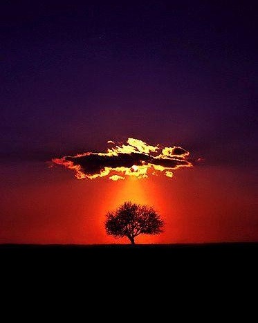 IMG_20170810_130920_451