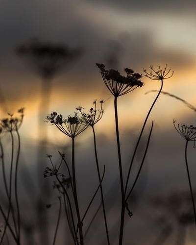 IMG_20170817_171854_757