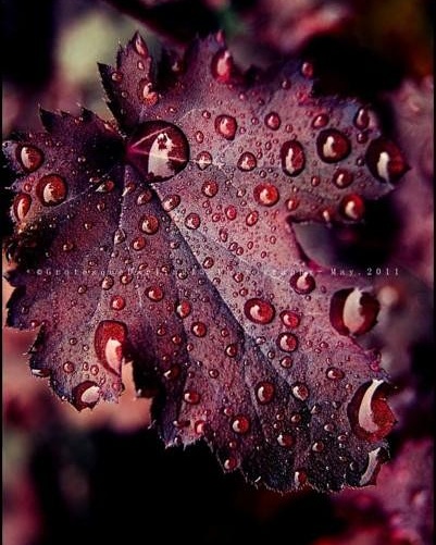 IMG_20170829_185012_600