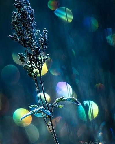 IMG_20170830_175428_622