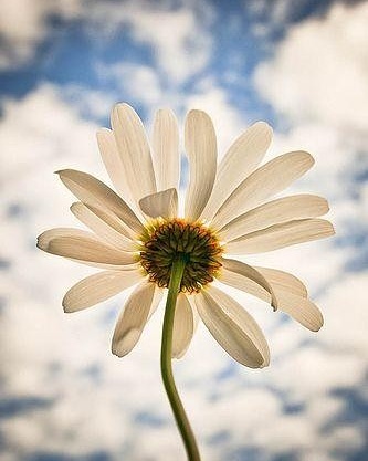 IMG_20170831_070915_667