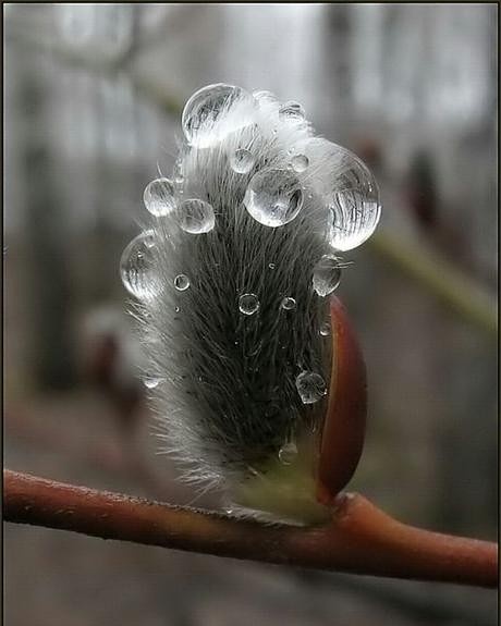 IMG_20170922_160046_026