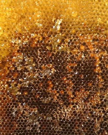 IMG_20170922_220213_757