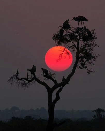 IMG_20170928_080104_928