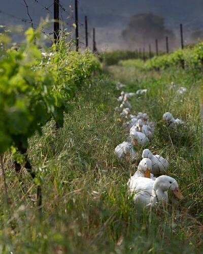 IMG_20171019_185531_430