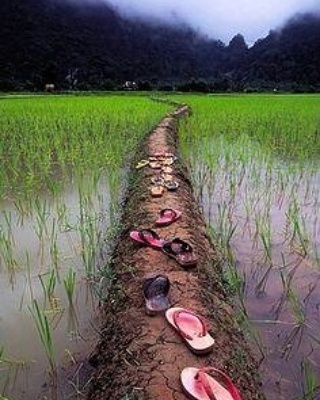 IMG_20171023_193003_620