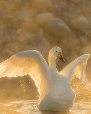 IMG_20171027_194758_294