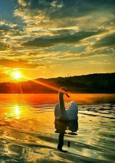 11d612c5b91a3c0be27e419731cf41f2