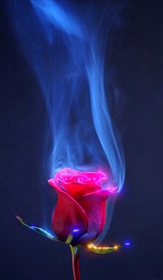 6d7c703090c7aad2c1207c4547ec42d6